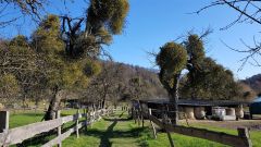 Maeanderweg_windeck-